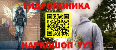 меф Краснознаменск