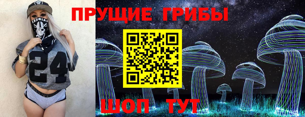 Черняховск  Псилоцибиновые грибы Psilocybine cubensis  Вход с VPN 
