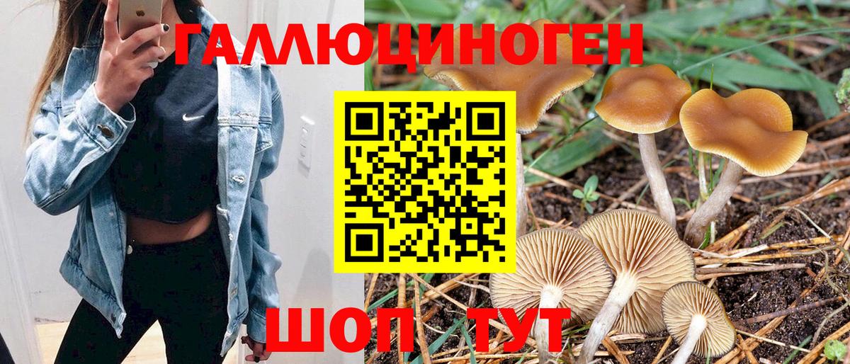 Галлюциногенные грибы мицелий Черняховск
